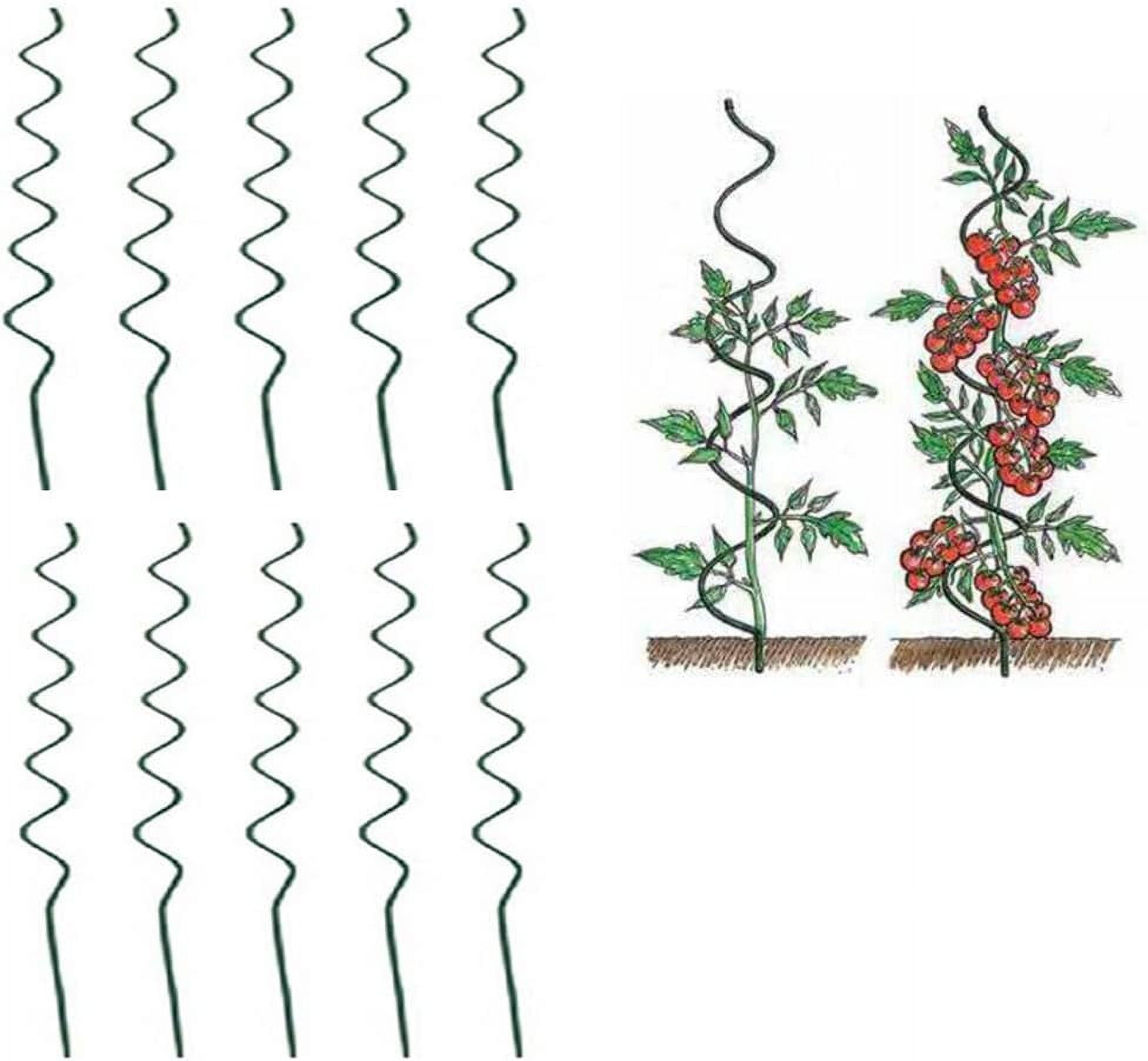 Plant Supports Spiral Tomato Cages Green 59 inch Height/Dia 6mm, Pack