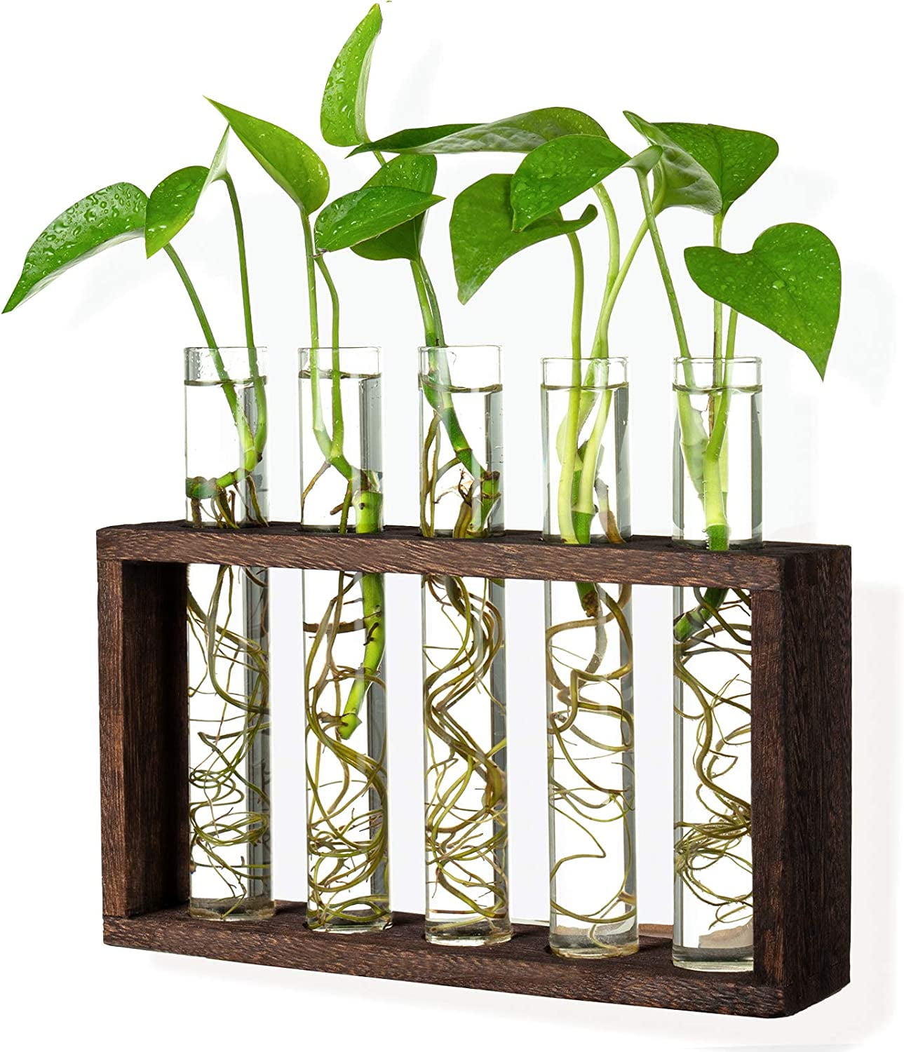 Plant Terrarium Holder with 5 Test Tube Propagation Station Planter ...