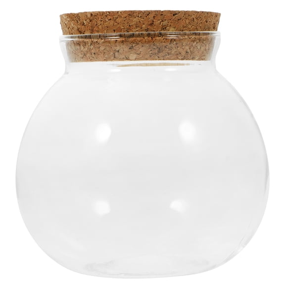 Hydroponic Desktop Plant Terrarium Bottle Planter - Indoor Greenery Display for Modern Home, Office, and Decorative Landscape