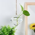 thumbnail image 1 of Plant Terrarium,Plant Propagation Station,Propagation Vases,Air Planter Glass Vase for Hydroponics Home Garden Office Decoration,Unique Gardening Plant Gifts Birthday Gifts for Plants Lovers,1PC, 1 of 3