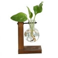 thumbnail image 1 of Plant Terrarium Vase Desktop Glass Bulb Planter Air Planter Bulb Glass Vase with Retro Solid Wooden Stand for Hydroponics Plants Glass Planter for Hydroponics Home Garden Office Decoration,5in, 1 of 5