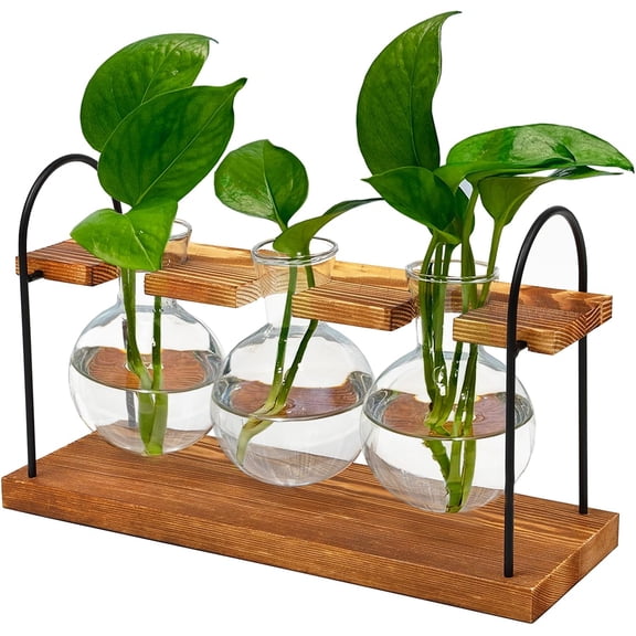 Plant Terrarium with Wooden Stand, The Ultimate Gift for Plant Lovers, Propagation Station with Retro Glass Bulbs, Creating a Stunning Tabletop Display of Hydroponic Greenery in Any Home or Office