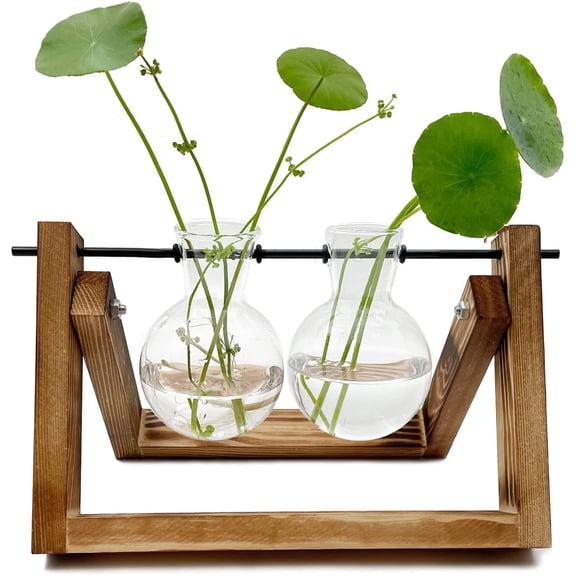 Plant Terrarium with Wooden Stand, Hanging Glass Plant Holder Ornaments for Plant Propagation Office Home Decor(2 Bulbs）