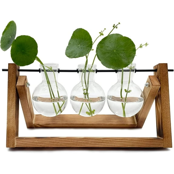 Plant Terrarium with Wooden Stand, Hanging Glass Plant Holder Ornaments for Plant Propagation Office Home Decor(3 Bulbs)