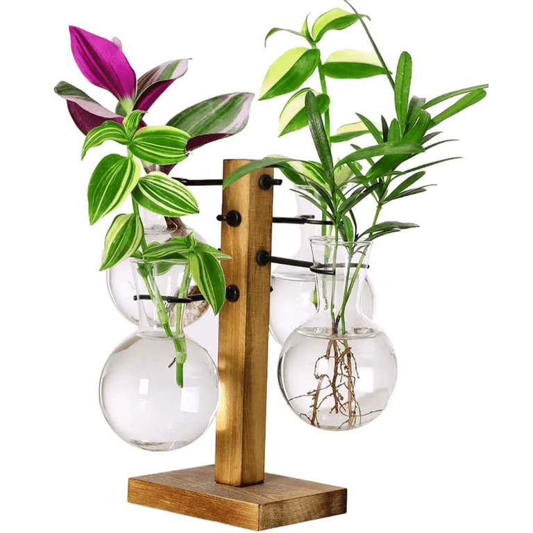 Plant Terrariums Kit Desktop Hydroponics Air Planter Holder with 4 Bulb  Beaker Glass Vase and Solid Wood Stand for Home Office Decoration