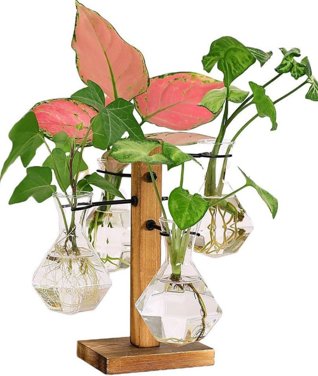 Plant Terrariums Kit Desktop Hydroponics Air Planter Holder with 4 Bulb