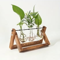 Plant Terrariums with Retro Wood Stand & Glass Bulbs - Hydroponic Propagation Station, Boho Indoor Garden Decor for Home Office Desktop, Unique Gift Idea