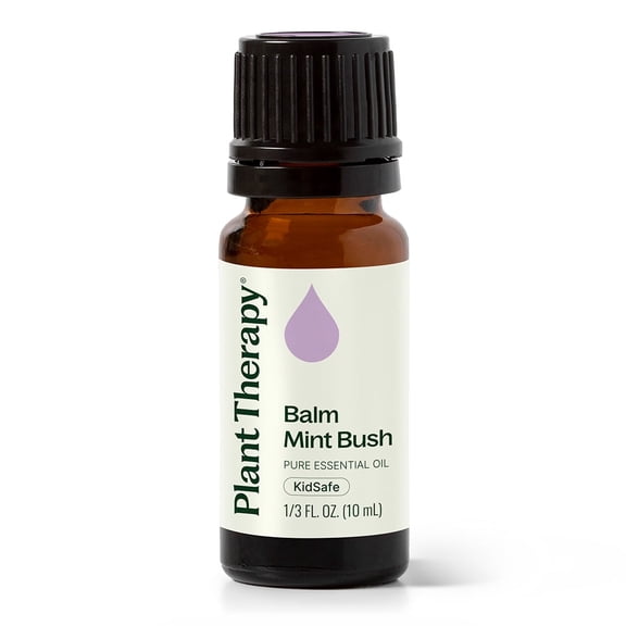 Plant Therapy Balm Mint Bush Essential Oil 10 mL (1/3 oz) 100% Pure, Undiluted, Natural Aromatherapy