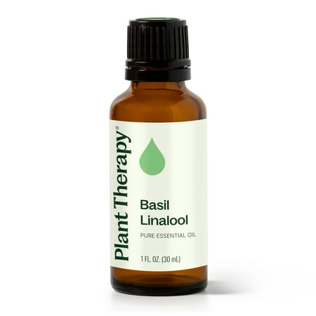 Plant Therapy Basil Linalool Essential Oil 30 mL (1 oz) 100% Pure, Undiluted, Therapeutic Grade