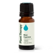 Plant Therapy Blue Cypress Essential Oil 10 mL 1/3 oz 100% Pure, Undiluted, Natural Aromatherapy