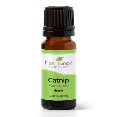 Plant Therapy Catnip Essential Oil 100% Pure, Undiluted, Natural Aromatherapy, Natural Aromatherapy 10 mL (1/3 oz)