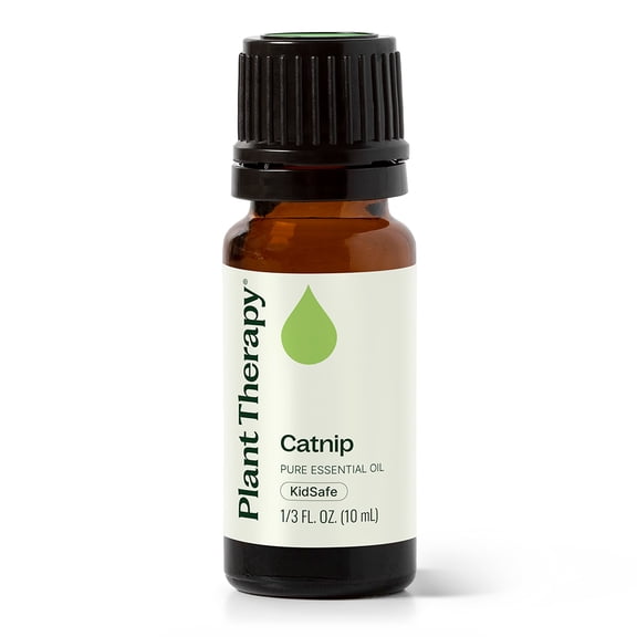 Plant Therapy Catnip Essential Oil 100% Pure, Undiluted, Natural Aromatherapy, Natural Aromatherapy 10 mL (1/3 oz)