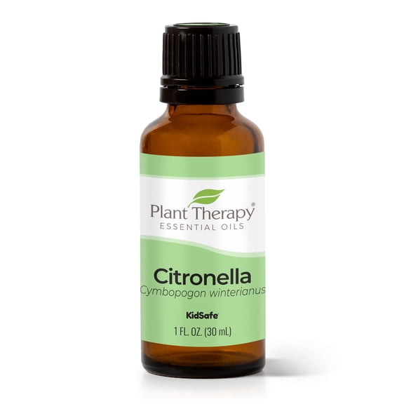 Plant Therapy Citronella Essential Oil 30 mL (1 oz) 100% Pure, Undiluted, Natural Aromatherapy