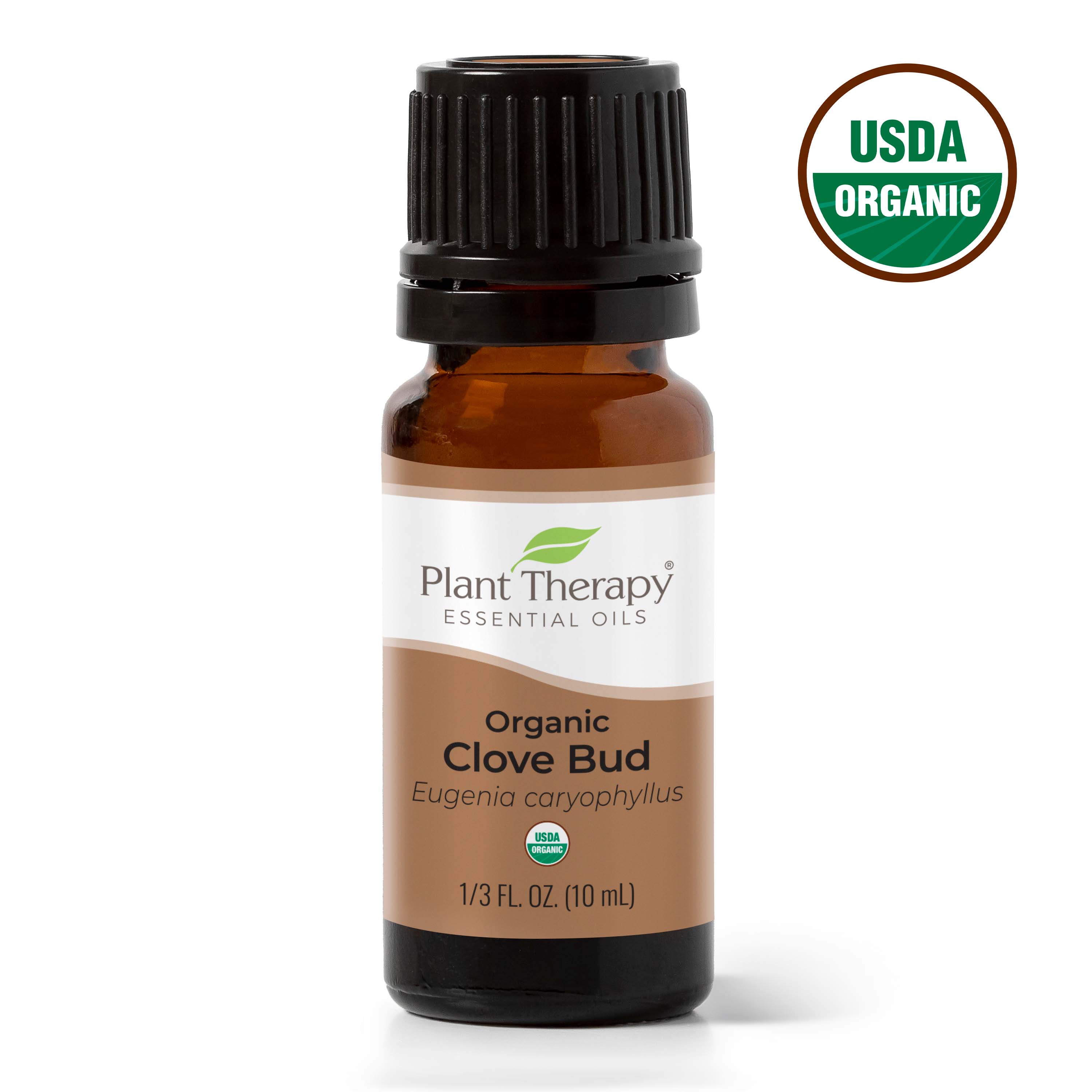 Plant Therapy Clove Bud Organic Essential Oil 100% Pure USDA Certified Organic, Undiluted, Natural Aromatherapy 10mL - image 1 of 7