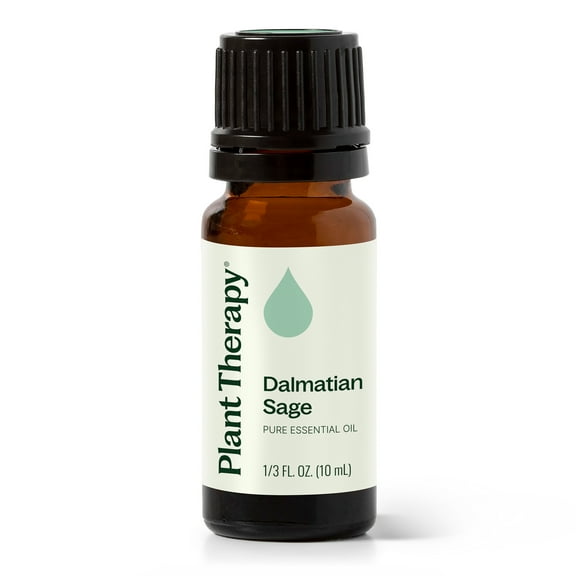 Plant Therapy Dalmatian Sage Essential Oil 10 mL (1/3 oz) 100% Pure, Undiluted, Natural Aromatherapy