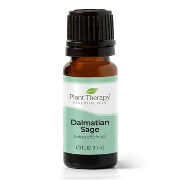 Plant Therapy Dalmatian Sage Essential Oil 10 mL (1/3 oz) 100% Pure, Undiluted, Therapeutic Grade