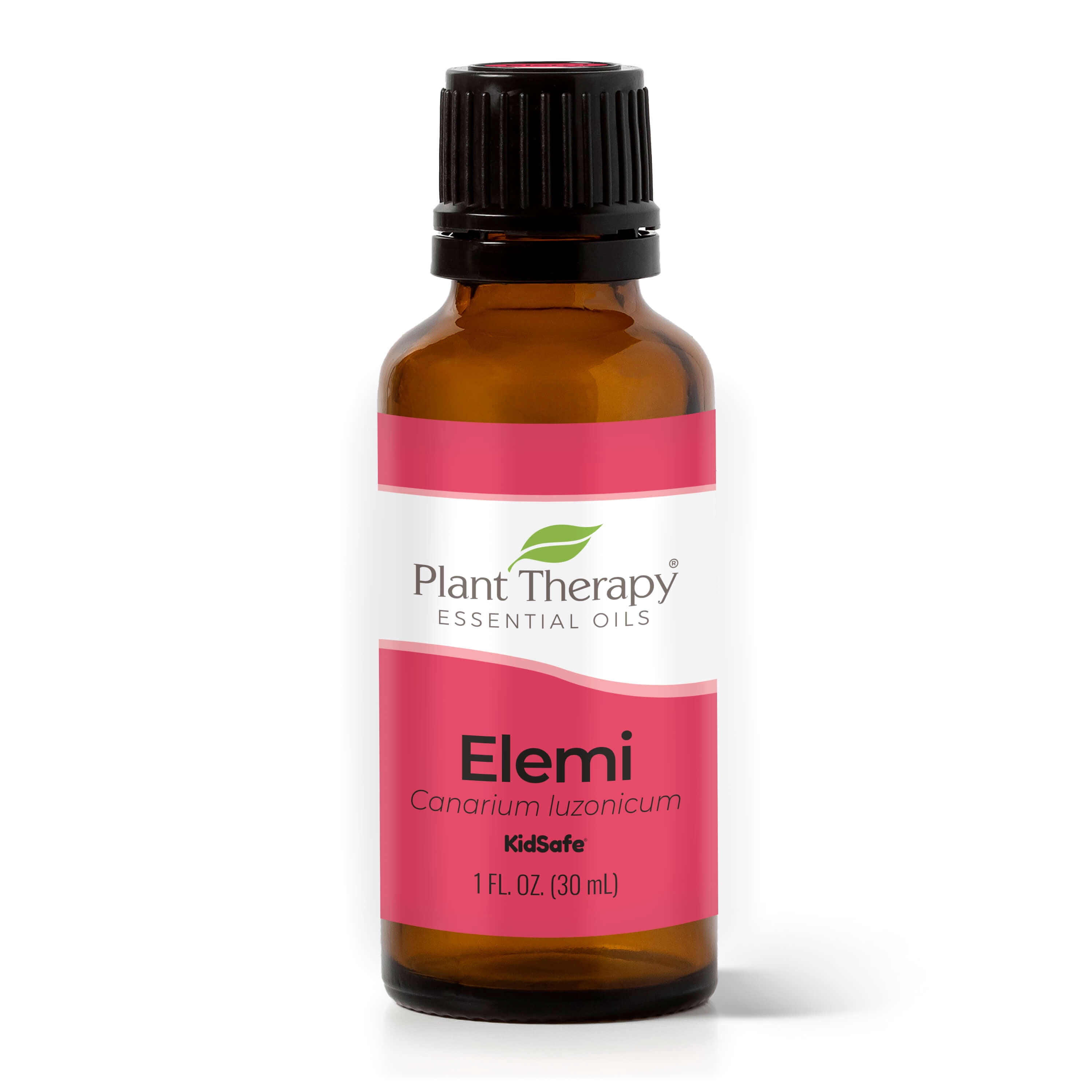 Plant Therapy Elemi Essential Oil 30 mL (1 oz) 100% Pure, Undiluted, Therapeutic Grade