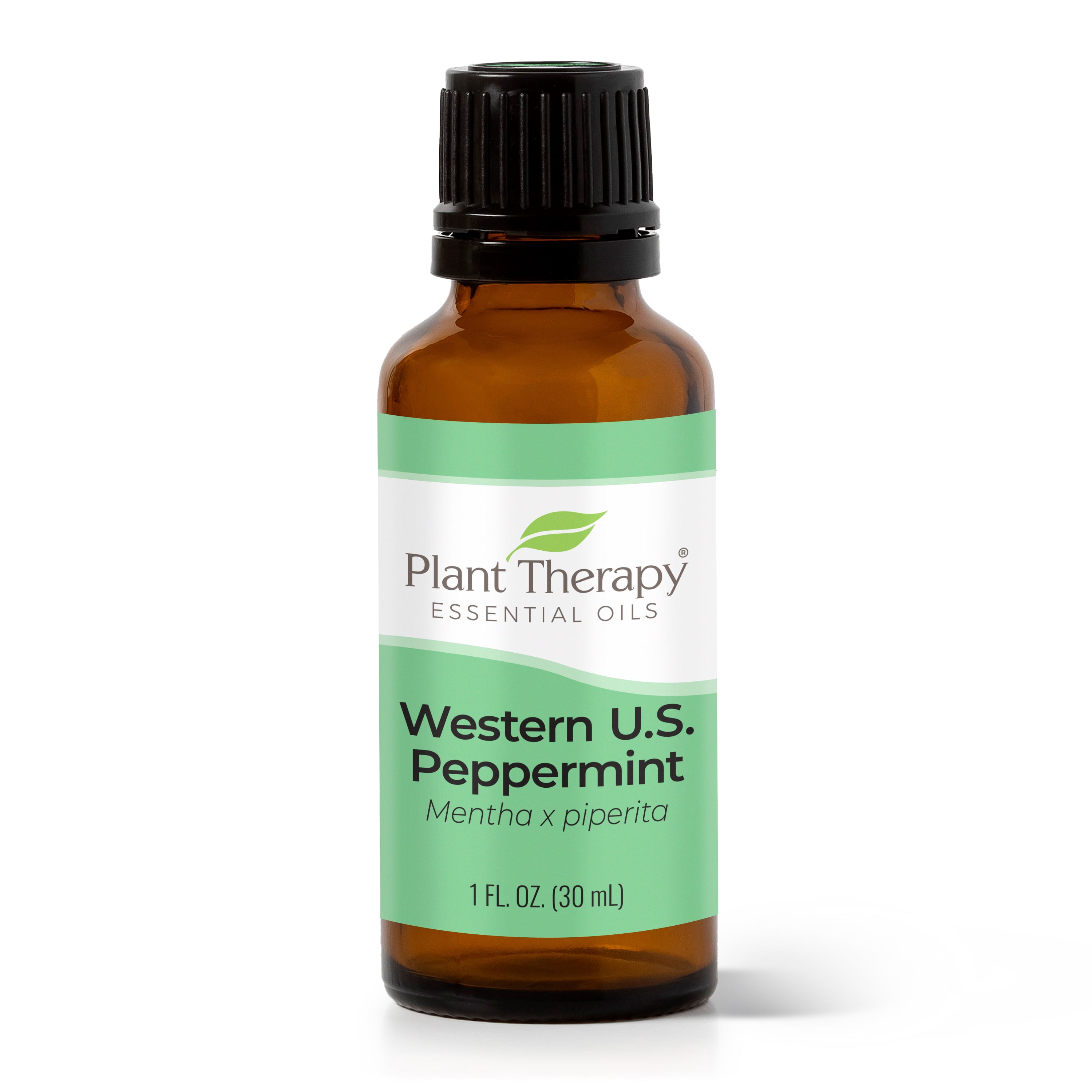Plant Therapy Essential Oils Peppermint Western 30 mL (1 oz) 100% Pure