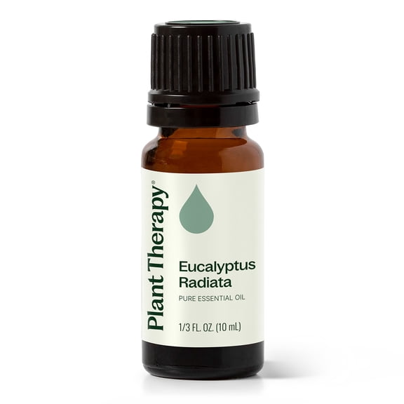 Plant Therapy Eucalyptus Radiata Essential Oil 10 mL (1/3 oz) 100% Pure, Undiluted, Natural Aromatherapy