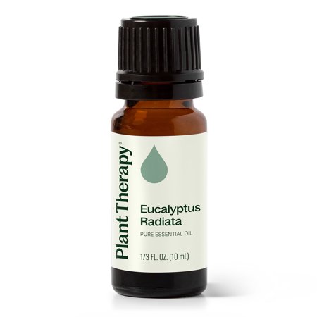 Plant Therapy Eucalyptus Radiata Essential Oil 10 mL (1/3 oz) 100% Pure, Undiluted, Natural Aromatherapy
