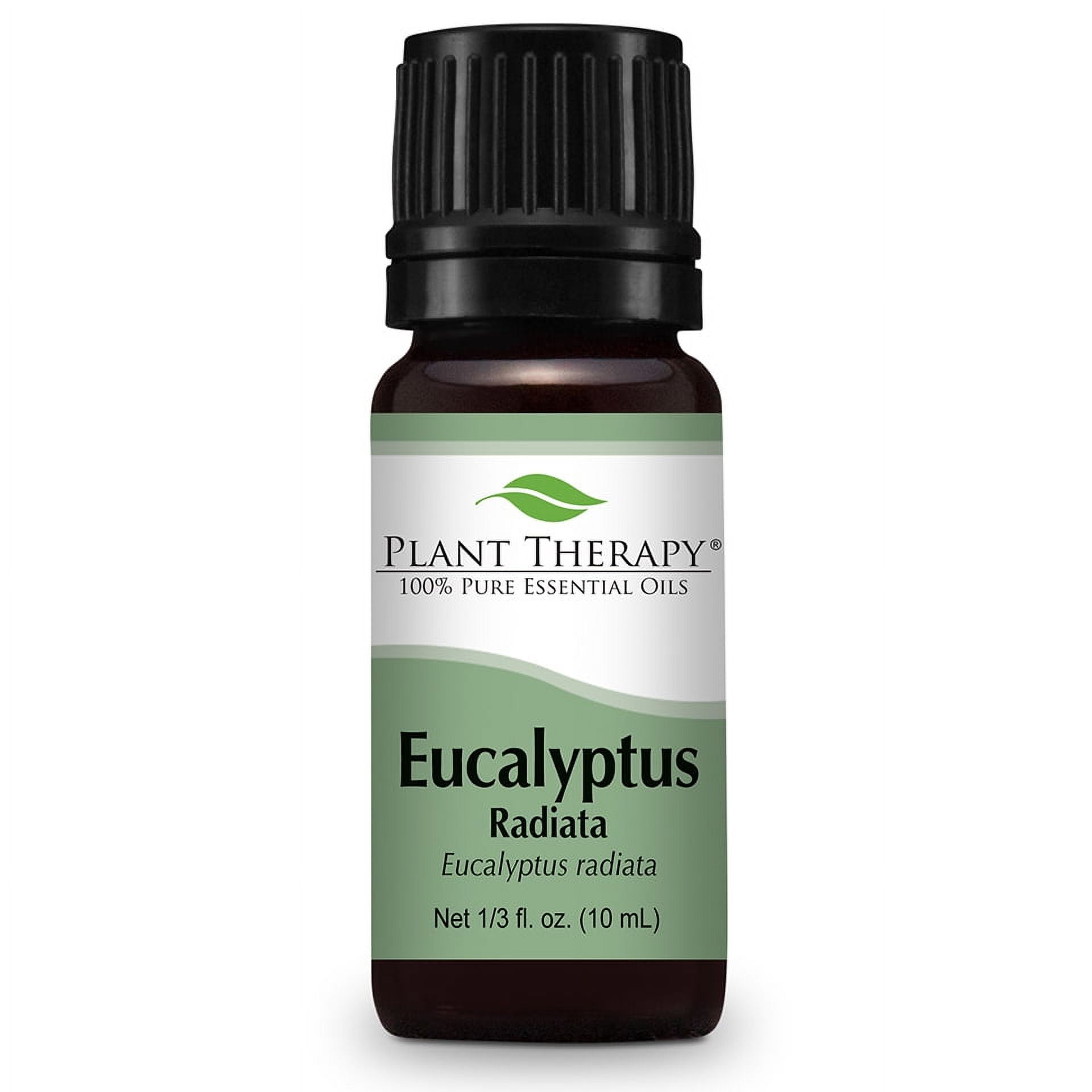 Plant Therapy Eucalyptus Radiata Essential Oil 10 mL (1/3 oz) 100% Pure