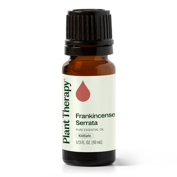 Plant Therapy Frankincense Serrata Essential Oil 100% Pure, Undiluted, Natural Aromatherapy, Therapeutic Grade 10 mL (1/3 oz)