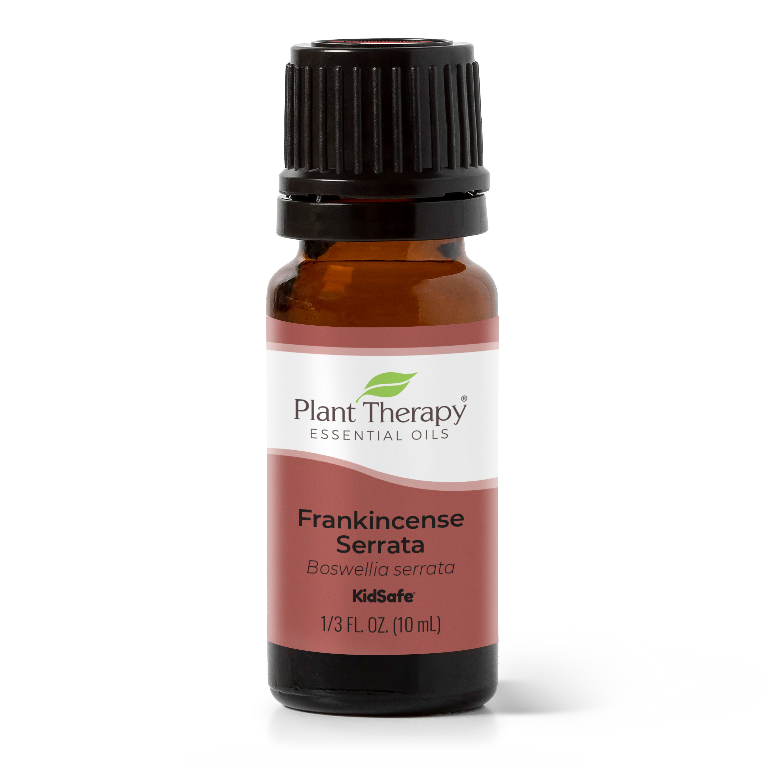 Plant Therapy Frankincense Serrata Essential Oil 100% Pure, Undiluted, Natural Aromatherapy, Therapeutic Grade 10 mL (1/3 oz) - image 1 of 7