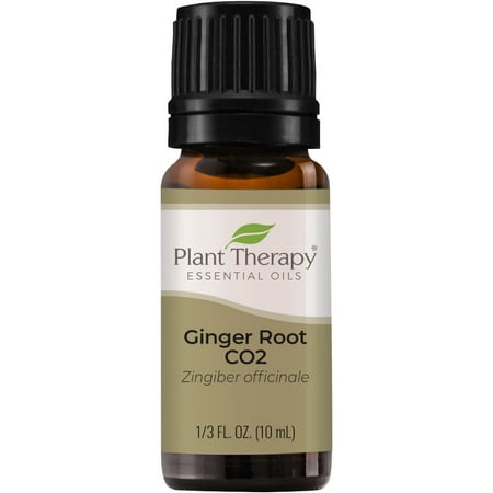 Plant Therapy Ginger Root CO2 Essential Oil 100% Pure, Undiluted, Natural Aromatherapy, Therapeutic Grade 10 mL (1/3 oz)