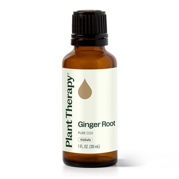 Plant Therapy Ginger Root CO2 Essential Oil 100% Pure, Undiluted, Natural Aromatherapy 30 mL (1 fl oz)