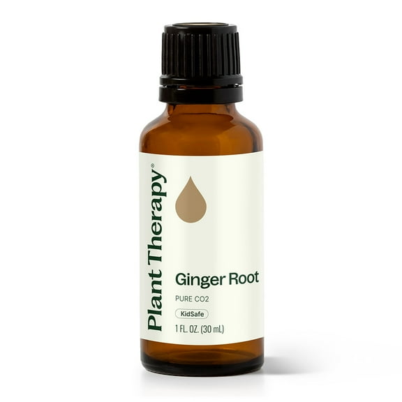 Plant Therapy Ginger Root CO2 Essential Oil 100% Pure, Undiluted, Natural Aromatherapy, Therapeutic Grade 30 mL (1 fl oz)