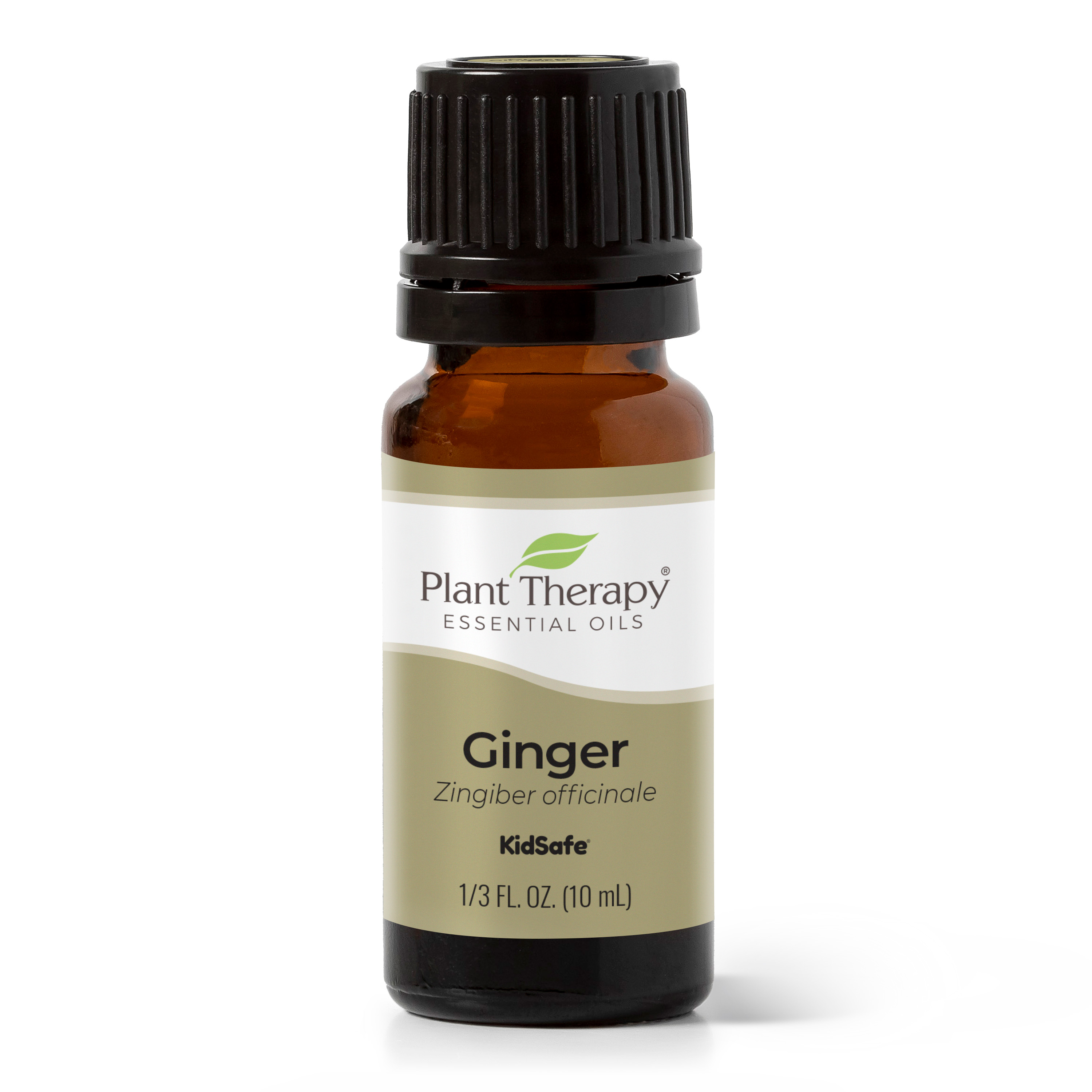 Plant Therapy Ginger Steam Distilled Essential Oil 10 mL (1/3 oz) 100% Pure, Undiluted, Natural Aromatherapy - image 1 of 7