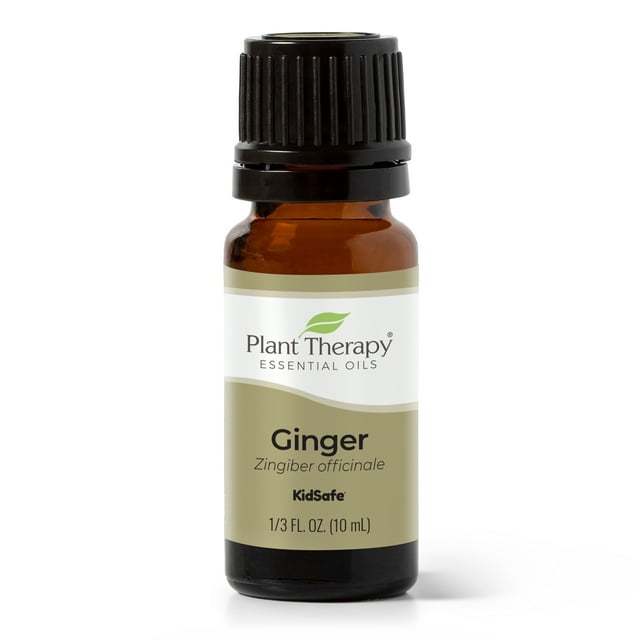 Plant Therapy Ginger Steam Distilled Essential Oil 10 mL (1/3 oz) 100% Pure, Undiluted, Natural Aromatherapy