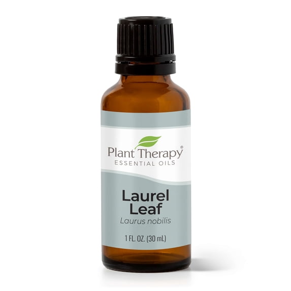 Plant Therapy Laurel Leaf Essential Oil 30 mL (1 oz) 100% Pure, Undiluted, Therapeutic Grade