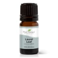 thumbnail image 1 of Plant Therapy Laurel Leaf Essential Oil 5 mL (1/6 oz) 100% Pure, Undiluted, Therapeutic Grade, 1 of 7