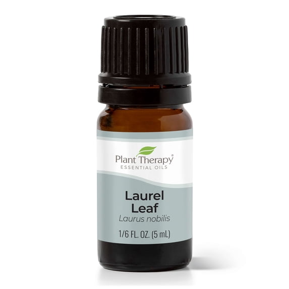 Plant Therapy Laurel Leaf Essential Oil 5 mL (1/6 oz) 100% Pure, Undiluted, Therapeutic Grade