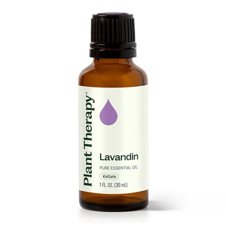 Plant Therapy Essential Oils Lavandin 30 mL (1 oz) 100% Pure, Undiluted, Natural Aromatherapy