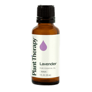 Plant Therapy Lavender Essential Oil 100% Pure, Undiluted, Natural Aromatherapy, Therapeutic Grade 30 mL (1 oz)