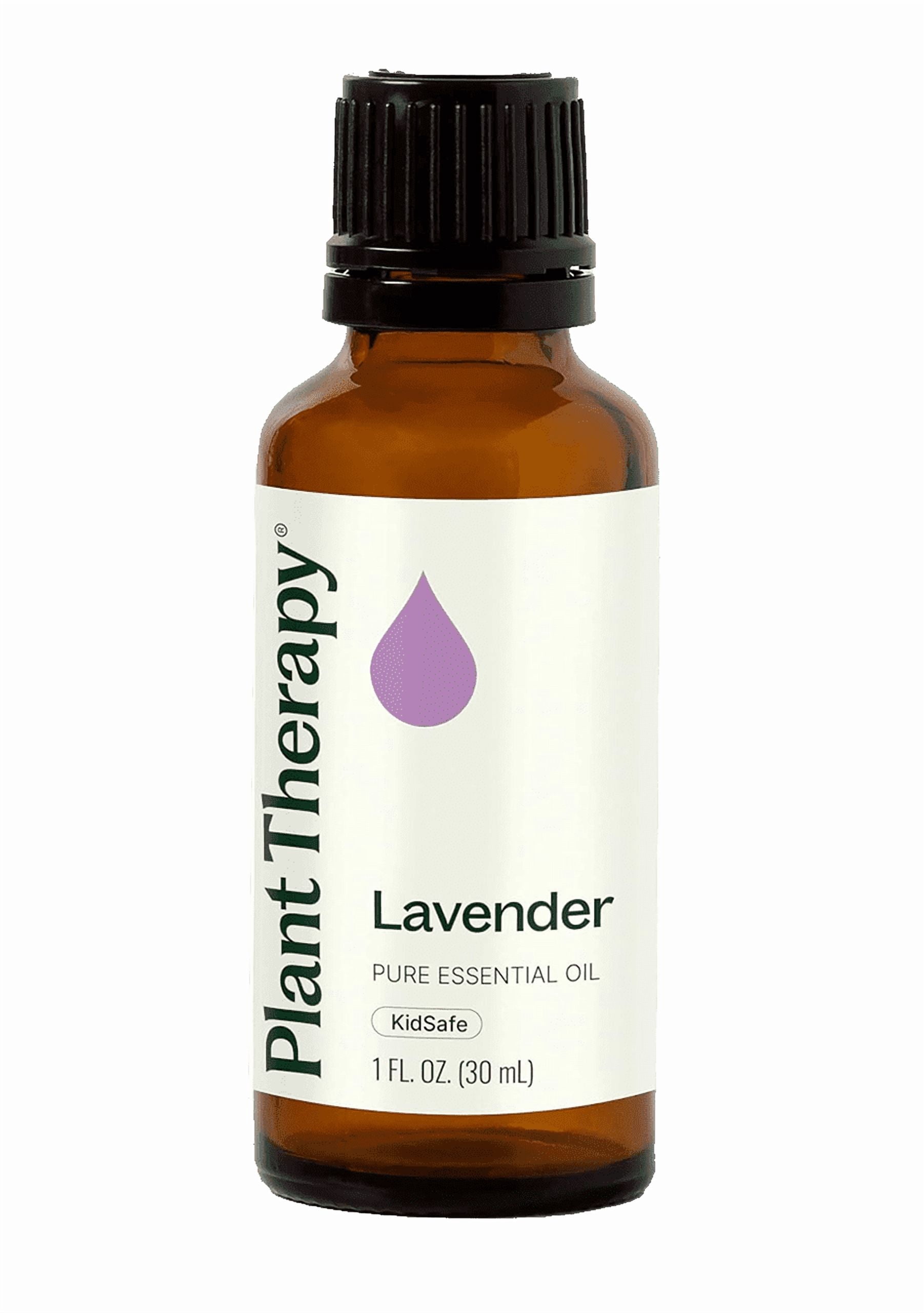 Plant Therapy Lavender Essential Oil 30 ML 100 Pure Undiluted plant-therapy-lavender-essential-oil-30-ml-100-pure-undiluted