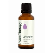 Plant Therapy Lavender Essential Oil 100% Pure, Undiluted, Natural Aromatherapy 30 mL (1 oz)