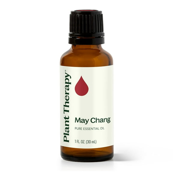 Plant Therapy May Chang (Litsea Cubeba) Essential Oil 30 mL (1 oz) 100% Pure, Undiluted, Therapeutic Grade