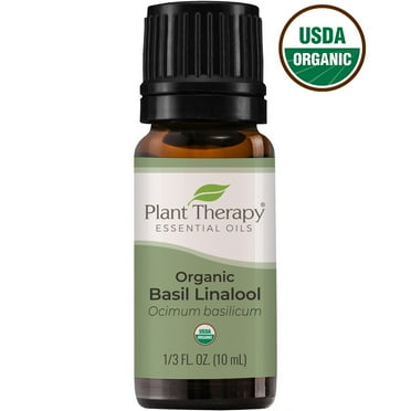 Plant Therapy Organic Basil Linalool Essential Oil 10 mL (1/3 oz) 100% Pure, Undiluted, Natural Aromatherapy