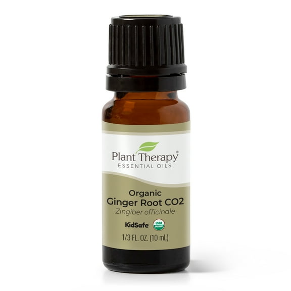 Plant Therapy Organic Ginger Root CO2 Essential Oil 10 mL (1/3 oz) 100% Pure, Undiluted, Natural Aromatherapy