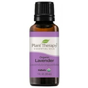 Plant Therapy Organic Lavender Essential Oil 100% Pure, USDA Certified Organic, Undiluted 30 mL (1 oz)