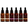 thumbnail image 1 of Plant Therapy Organic Tinctures Beginner Set 30 mL each of Organic Ashwagandha, Organic Asian Ginseng, Organic Echinacea Blend, Organic Elderberry, Organic Lemon Balm & Organic Turmeric, 1 of 8