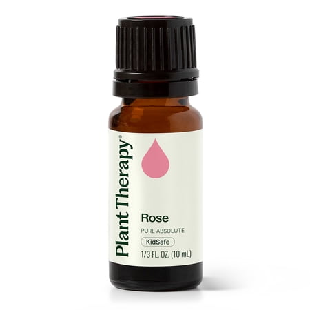 Plant Therapy Rose Absolute Essential Oil 100% Pure, Undiluted, Natural Aromatherapy 10 mL (1/3 oz)