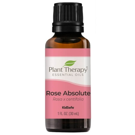 Plant Therapy Rose Absolute Essential Oil 100% Pure, Undiluted, Natural Aromatherapy 30 mL
