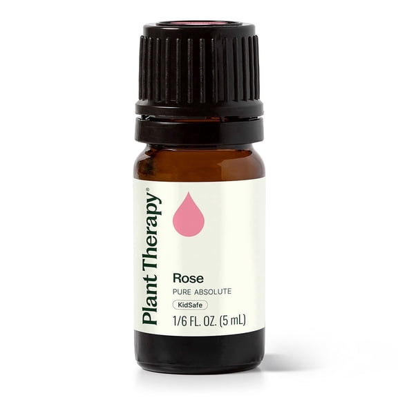 Plant Therapy Pure Rose Absolute Essential Oil 100% Pure, Undiluted, Natural Aromatherapy, Natural Aromatherapy 5 mL (1/6 oz)