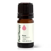 Plant Therapy Pure Rose Absolute Essential Oil 100% Pure, Undiluted, Natural Aromatherapy, Natural Aromatherapy 5 mL 1/6 oz