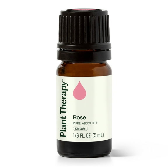 Plant Therapy Pure Rose Absolute Essential Oil 100% Pure, Undiluted, Natural Aromatherapy, Natural Aromatherapy 5 mL (1/6 oz)