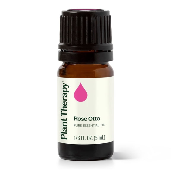 Plant Therapy Rose Otto Essential Oil 5 mL (1/6 oz) 100% Pure, Undiluted, Natural Aromatherapy
